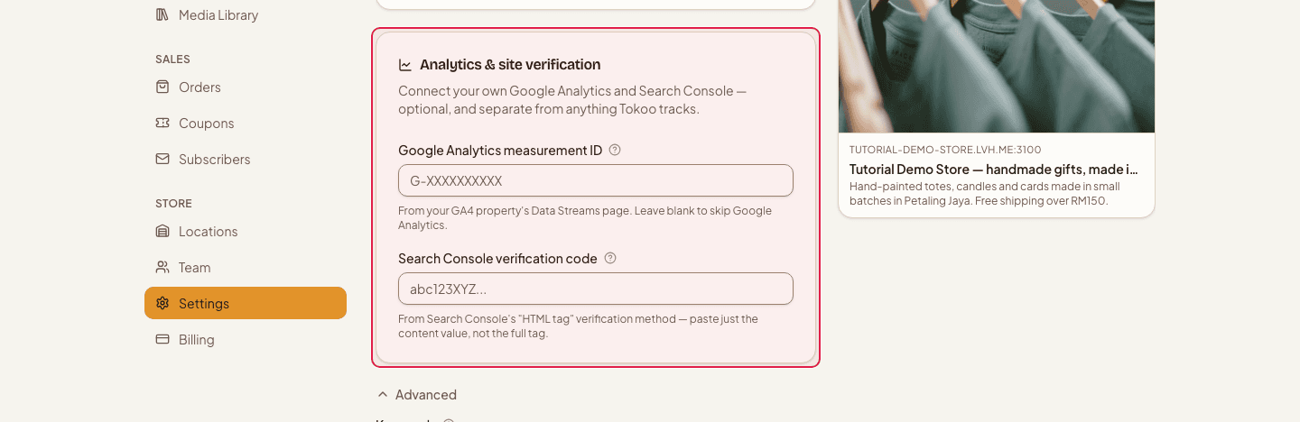 The Analytics & site verification section with the Google Analytics and Search Console fields